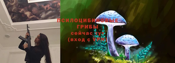 a pvp Беломорск