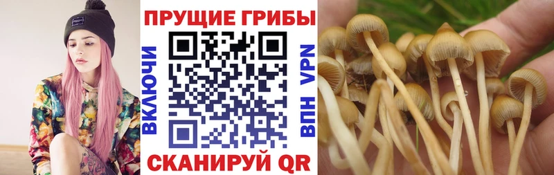 Псилоцибиновые грибы ЛСД  Купить  Партизанск 